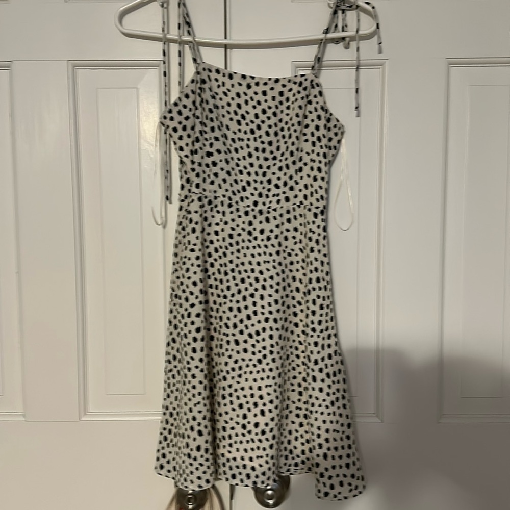 Darling black and white dress